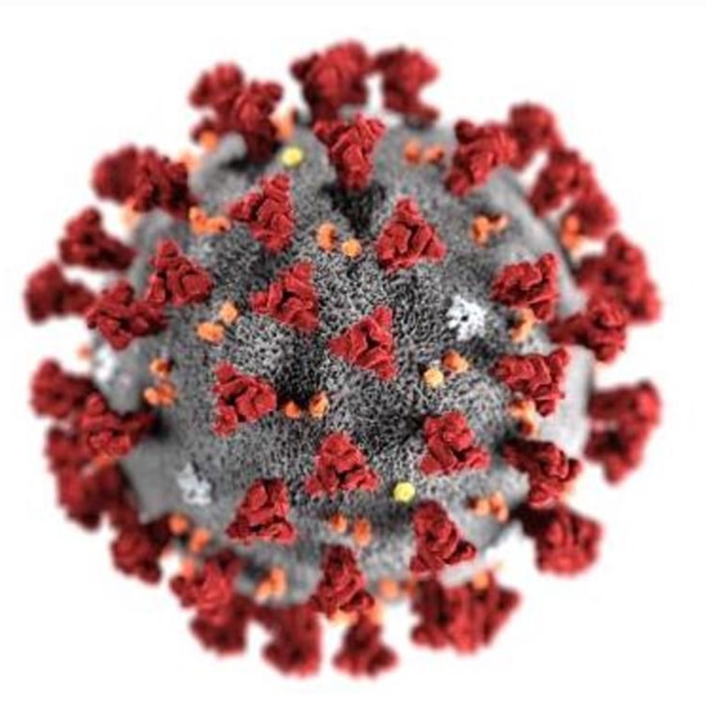 Coronavirus Image 2